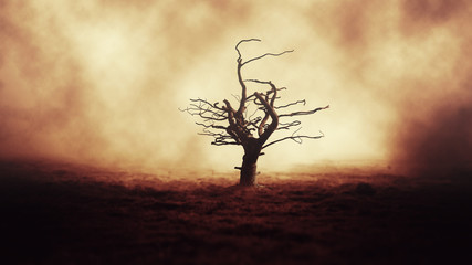 .Dark Horror Spooky tree. Halloween Dark Night Background.	