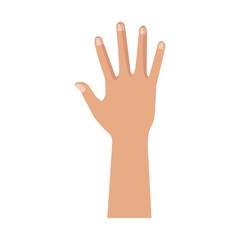human hand showing five finger icon vector illustration
