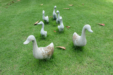 Herd of ducks statue made of cement in garden