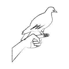 dove in hand peace liberty concept icon vector illustration
