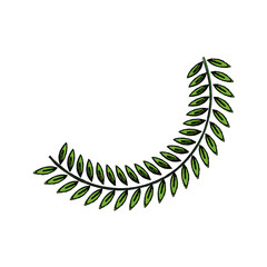 olive branch leaf peace flora symbol vector illustration