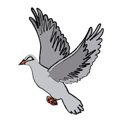 flying white dove on white background as symbol of peace vector illustration