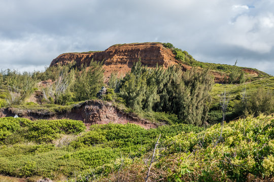 Maui Red Hill