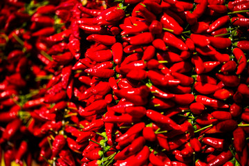 Chili as a background, red chili