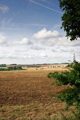 Lincolnshire Wolds,UK, in Late Summer