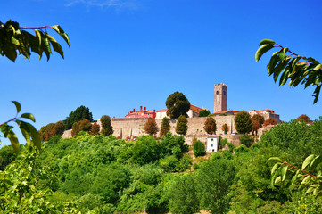 Motovun town on hill beautiful photo image