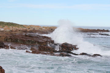 Péninsule du Cap, Cape Town - Afrique du Sud