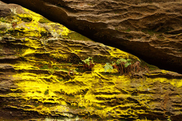 Rock detail Elbsandstein Mountains