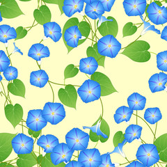 Blue Morning Glory on Ivory Beige Background. Vector Illustration