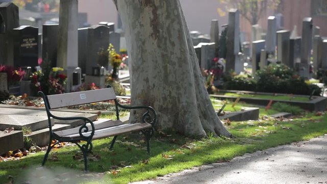 Friedhof - Cemetary Impressions