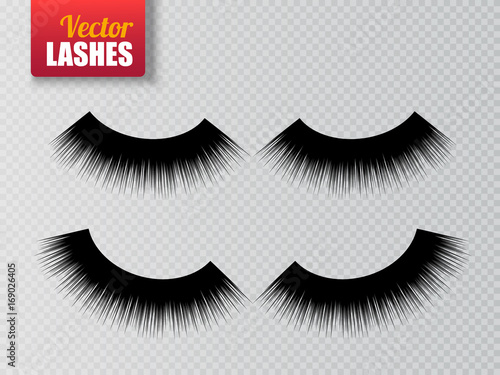 "Lashes isolated on transparent background. False eyelashes set. Vector