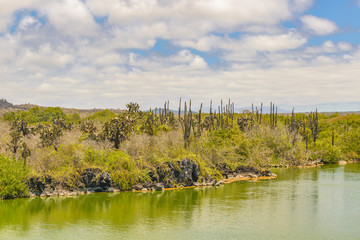 River Landscape Scene, Galapagos, Ecuador