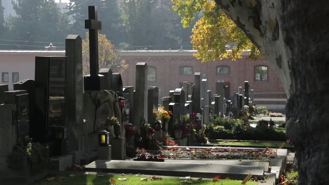 Friedhof - Cemetary Impressions
