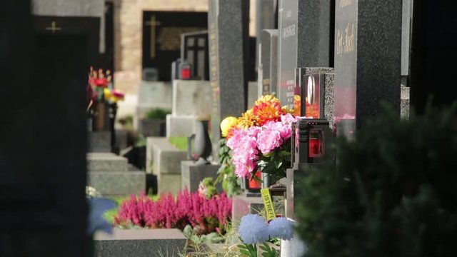 Friedhof - Cemetary Impressions