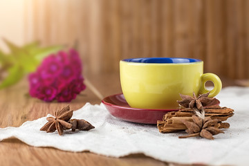 Obraz na płótnie Canvas cocoa with cinnamon, delicious dessert