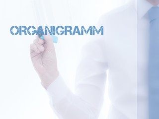 Organigramm