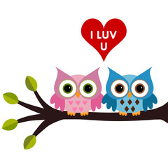 owl with heart on a branch
