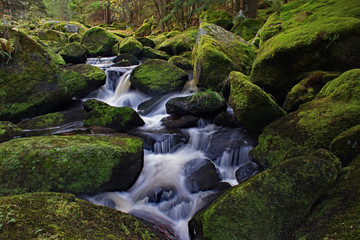 Höllfall und Große Kamp im Waldviertel - Niederösterreich