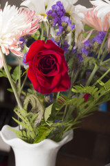 Une rose rouge dans un pot avec d'autres fleurs.