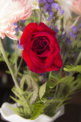 Une rose rouge dans un pot avec d'autres fleurs.