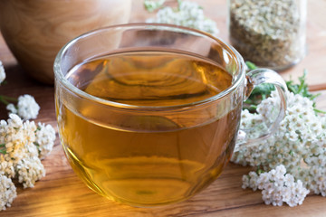 A cup of yarrow tea with fresh yarrow