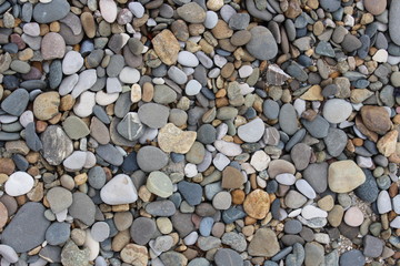 Multi-colored pebbles are on the sea beach