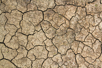 Look straight up on cracked dry land