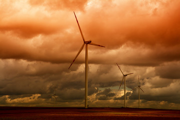 Obraz premium Windmills producing electricity (mini power stations) illuminated the setting sun