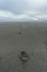 Footprints on the Beach