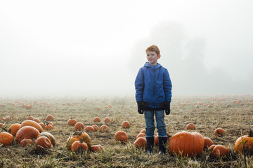 A redhead boy standing in a field of pumpkins on a misty morning