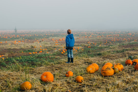 A ginger-haired boy standing in a huge field of pumpkins, looking away into the mist