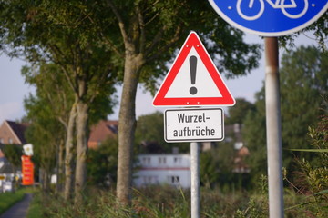 Radweg mit Wurzelaufbrüchen