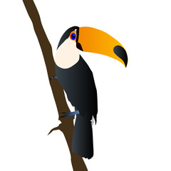 Illustration of Toucan Toco bird sitting on branch of tree on white background