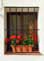 Fototapeta na wymiar Window with flowers in Andalusian village