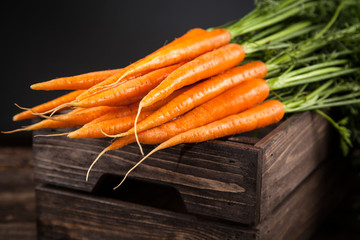 Fresh organic carrot