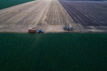 Aerial view of the combine harvester, which pours the grain into the trailer for further processing. Agricultural works. Argo industry.