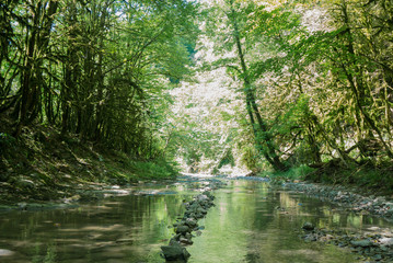 the landscape in the valley of a mountain river