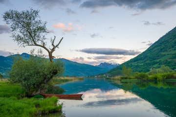 Two wooden boats are chained to the trunk of a tree on the shore.