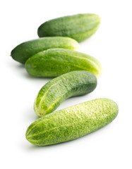 Fresh green cucumbers.