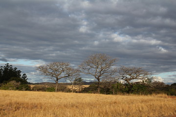 R&eacute;serve naturelle de Milwane, Swaziland