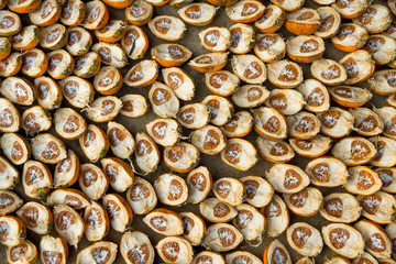 Areca nut