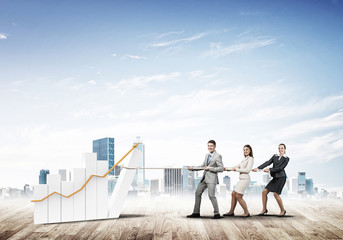 Businessteam working in collaboration making diagram grow and progress