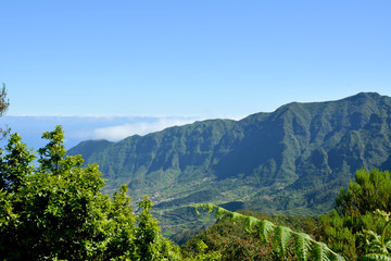 Obraz premium Impressive hills full of vegetation, porto moniz, madeira