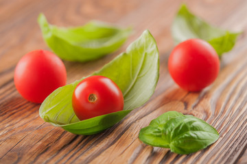 cherry tomato with basil on a wooden background