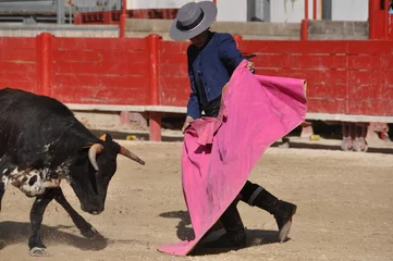 Fotobehang Stierenvechten Stierenvechter in de arena