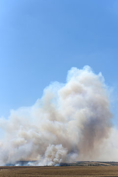 Big fire in the forest and in the field, thick smoke high in the sky