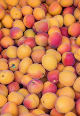 Background of ripe juicy apricots that are sold at the farmers market.