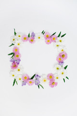 Floral frame with space for text made of white and pink chamomile daisy flowers, green leaves on white background. Flat lay, top view. Daisy background. Mock up frame of flower buds.