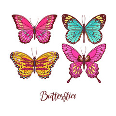 set of colorful butterflies