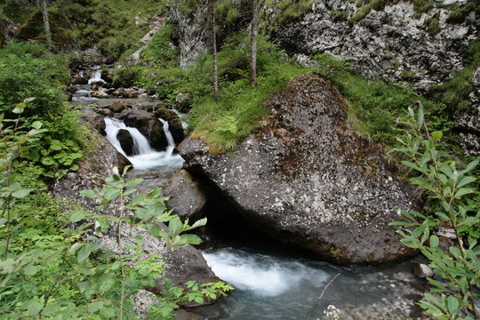 Torrente Pettorina